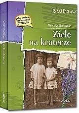 Ziele na kraterze z oprac. GREG