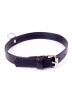 Fetish B -  Series Collar  2cm Red Line