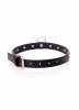 Fetish B - Series - Collar 2 cm gold crystal