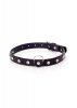 Fetish B - Series - Collar 2 cm silver crystal