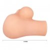 MASTURBATOR CRAZY BULL ASS MASTURBATOR