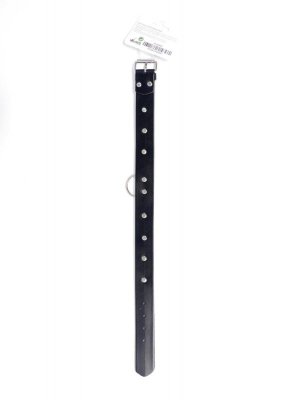 Fetish B - Series Collar with studs 3 cm