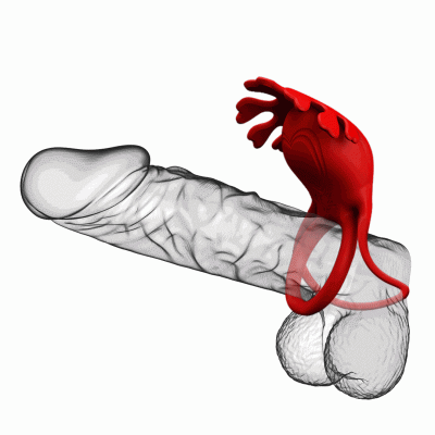 PIERŚCIEŃ PRETTY LOVE VIBRANT PENIS RING
