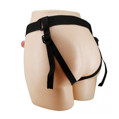 HARNESS BRIEFS