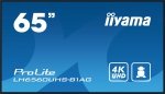 iiyama ProLite LH6560UHS-B1AG