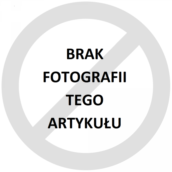 Datalogic ładowarka samochodowy  ( 94A050048 ) 