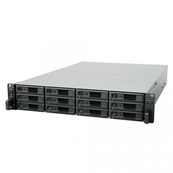 Synology SA3410