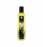 Shunga - Exotic Green Tea Organic Massage Oil 250 ml Shunga - Exotic Green Tea Organic Massage Oil 250 ml