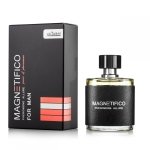 MAGNETIFICO ALLURE perfumy z feromonami 50ml - męskie MAGNETIFICO ALLURE perfumy z feromonami 50ml - męskie