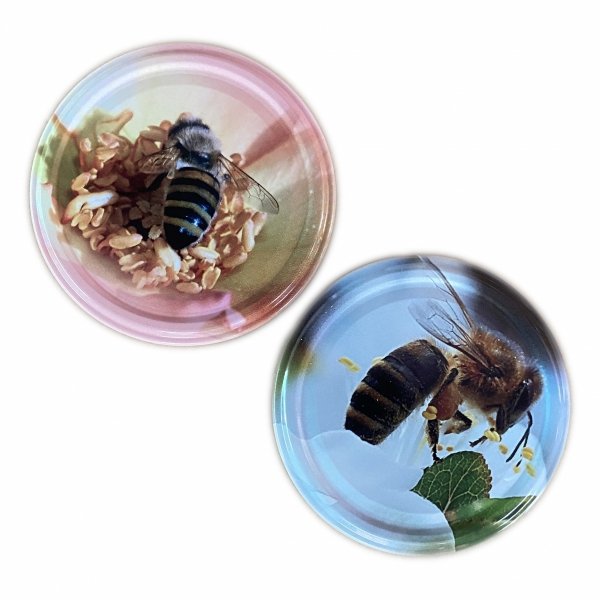 Box of 60 glass jars with bee-themed lids