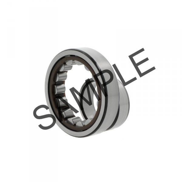 SL045019 -D-PP