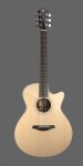 Furch Green Gc-SR LR Baggs SPE Gitara Elektro-Akustyczna 