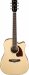 IBANEZ PF16WCE-NT Gitara elektroakustyczna