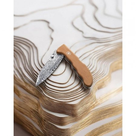 Nóż Evoke Wood Damast Limited Edition 2026 Victorinox 0.9410.J26