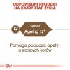 Royal Canin Ageing +12 karma sucha dla kotów dojrzałych 4kg