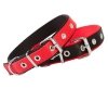 Dingo Obroża taśma polipropylenowa podwójnie zszywana 2,5cm/60cm czerwono-czarna