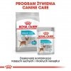 Royal Canin Mini Urinary Care karma sucha dla psów dorosłych, ras małych, ochrona dolnych dróg moczowych 1kg