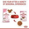 Royal Canin Kitten w galaretce karma mokra dla kociąt do 12 miesiąca życia saszetka 85g