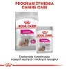 Royal Canin Exigent karma mokra dla wybrednych psów dorosłych, wszystkich ras, pasztet saszetka 85g