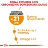 Royal Canin Hair&Skin Care karma sucha dla kotów dorosłych, lśniąca sierść i zdrowa skóra 4kg