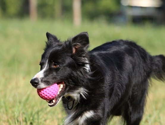 Kiwi Walker Let&#039;s Play Ball Mini piłka różowa