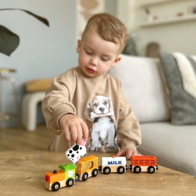VIGA Zestaw akcesoriów do kolejki - pociąg rolniczy