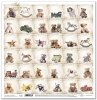 Papier für Scrapbooking SL0835