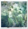 scrapbooking paper SL0665