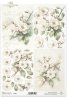 Rice paper R2589