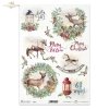 Rice paper R1637