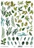 Translucent scrapbooking paper P0223
