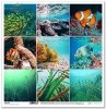scrapbooking paper SL1155