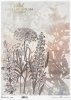 Rice paper R0727L