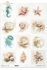 Papel de arroz decoupage A3 R1698L