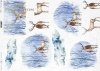 Papel de arroz decoupage A3 R0321L