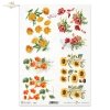 Papel de arroz para decoupage R2250