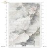 motywy roślinne, motywy kwiatowe, tło, tapeta, kolaż, rośliny, kwiat, kwiaty, bukiet, list, ręczne pismo, floral motifs, flower motifs, background, wallpaper, collage, plants, flower, flowers, bouquet, letter, handwriting, Blumenmotive, Hintergrund