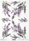 lawenda, lawendowe, lawendowy, bukiet, kwiat, ogród, lato, R746, lavender, bouquet, flower, garden, summer, Lavendel, Strauß, Blume, Garten, Sommer, lavanda, ramo, flor, jardín, verano