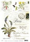 papír pro decoupage Soft S0012