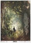 Nieodkryty magiczny świat - las, tajemnica, paproć, twarz, druidzi, kapłan celtycki, motywy celtyckie
