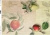 Decoupage de papel de frutas, manzanas*Бумажные декупаж фрукты, яблоки*Papier decoupage Früchte, Äpfel