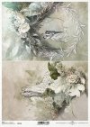 motywy roślinne, motywy kwiatowe, tło, tapeta, kolaż, rośliny, kwiaty*floral motifs, floral motifs, background, wallpaper, collage, plants, flowers*blumenmotive, blumenmotive, hintergrund, wallpaper, collage, pflanzen, blumen*motivos florales, motivos flo
