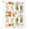 pigwa, pigwowiec, koniczyna, koniczynka, łąka, ogród, kwiat, kwitnąca jabłoń, wiosna, R860, quince, quince tree, clover, meadow, garden, flower, blossoming apple tree, spring, Quitte, Quittenbaum, Klee, Klee, Wiese, Garten, Blume, blühender Apfelbaum, Frü
