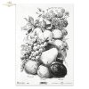 retro still life, in black and white. Fruit, gooseberry, raspberry, bunch, redcurrant, pear, apricot