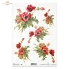 poppy, poppies, flower, flowers, R391