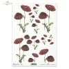 rice-paper-decoupage-flowers-poppies-field-meadow-garden-R0256 