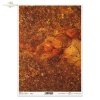 zanurzone w bursztynie, bursztyn, jantar, amber, inkluzje, kamienie ozdobne, biżuteria, amonit, mrówka, gemstones, amber collection, inclusions, jewellery, ammonite, ant, Bernstein Sammlung, Bernstein, Einschlüsse, Schmuck, Ammonit