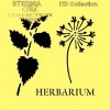 liście, zioła, napis HERBARIUM*leaves, herbs, inscription HERBARIUM*Blätter, Kräuter, Inschrift HERBARIUM*hojas, hierbas, inscripción HERBARIUM
