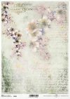 Seria Flower Post - White, Kwiatowa Poczta w bieli, kwiaty owocowe, pismo, napisy, listy, kolaż*Series Flower Post - White, Flower Post in White, fruit flowers, writing, inscriptions, letters, collage