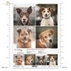 Papier decoupage, papier, Schronisko w Korabiewicach, fotografie zwierząt, psy, Dorota Majcher, Shelter in Korabiewice, animal photography, dogs, Tierheim in Korabiewice, Tierfotografie, Hunde, Refugio en Korabiewice, fotografía